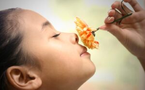 Запахи по-новому